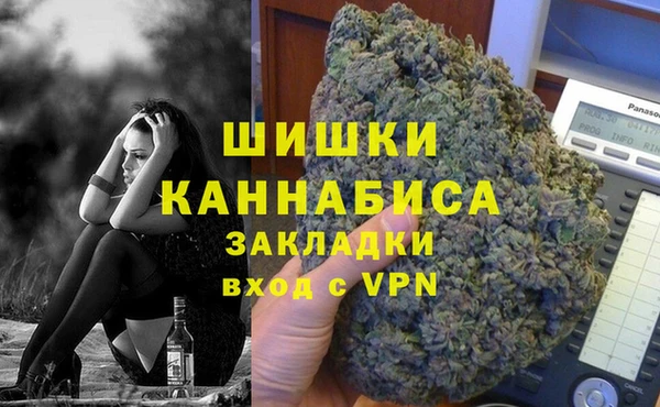 PSILOCYBIN Гусиноозёрск
