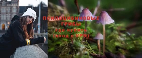 молекула духа Дмитров