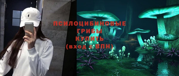 марки nbome Гусь-Хрустальный