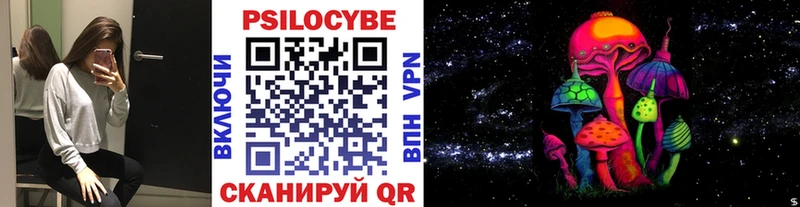 блэк спрут ссылка  Петров Вал  Галлюциногенные грибы Cubensis 
